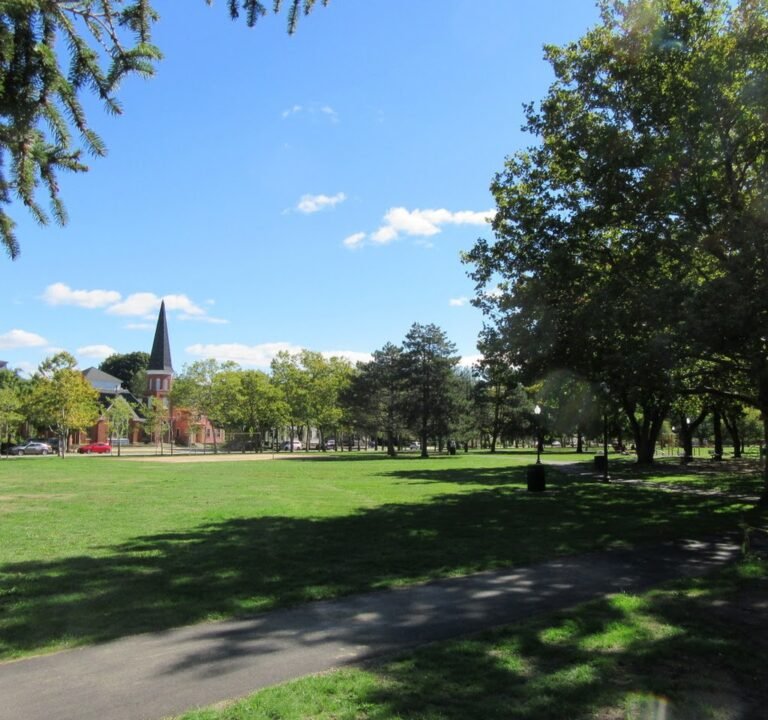Soccer Field image 2