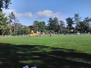 Soccer Field image 1