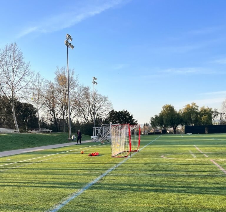 Soccer Field image 3