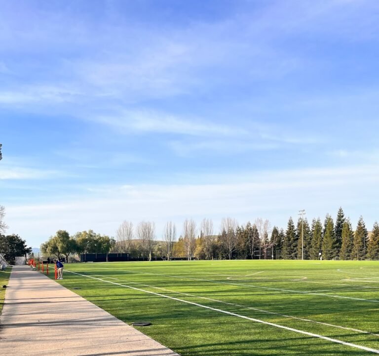 Soccer Field image 2