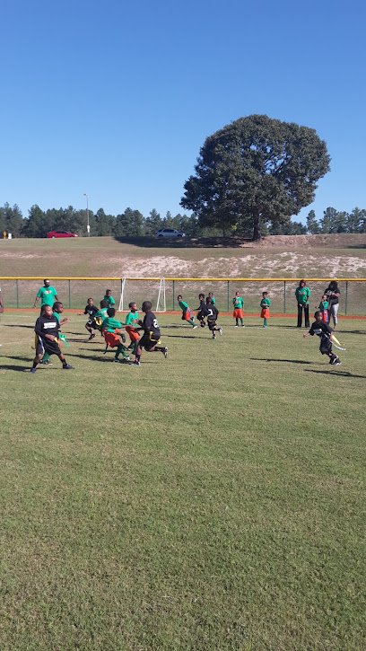 Soccer Field image 1