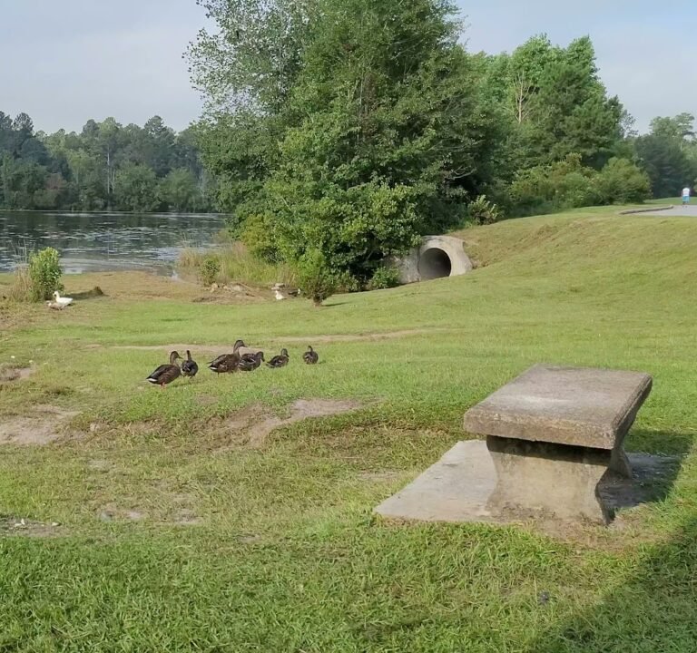 Soccer Field image 3