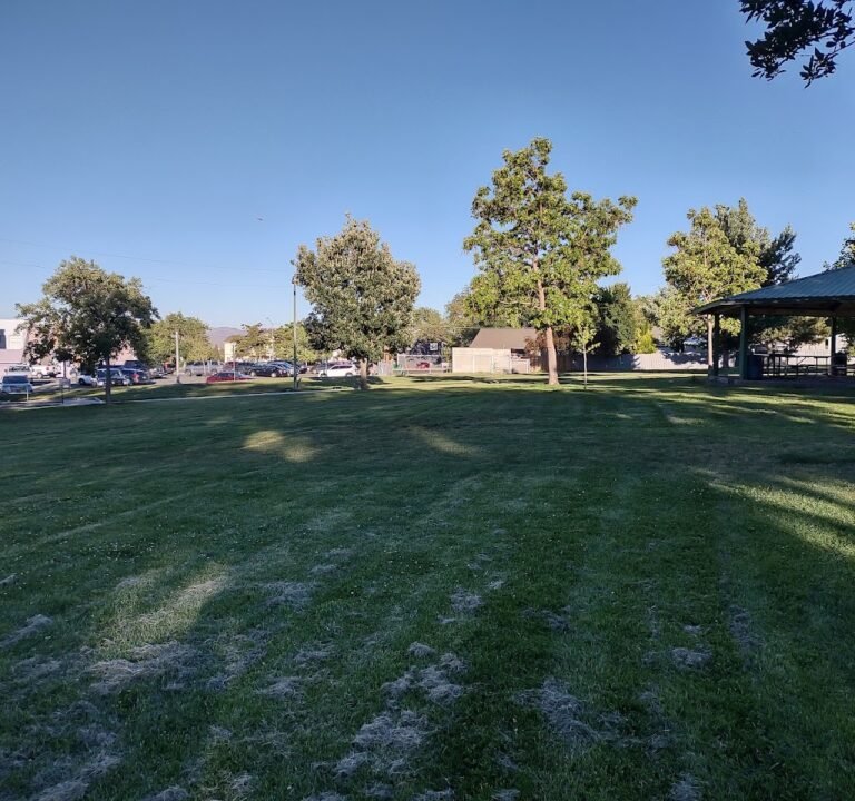 Soccer Field image 2