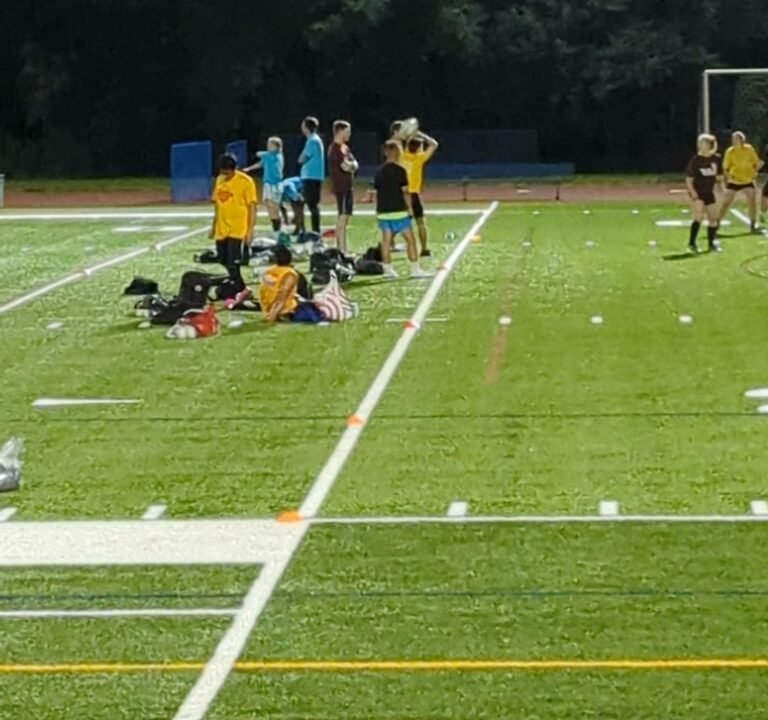 Soccer Field image 3