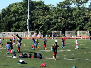 Soccer Field image 1