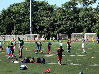 Soccer Field image 1