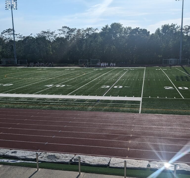 Soccer Field image 2