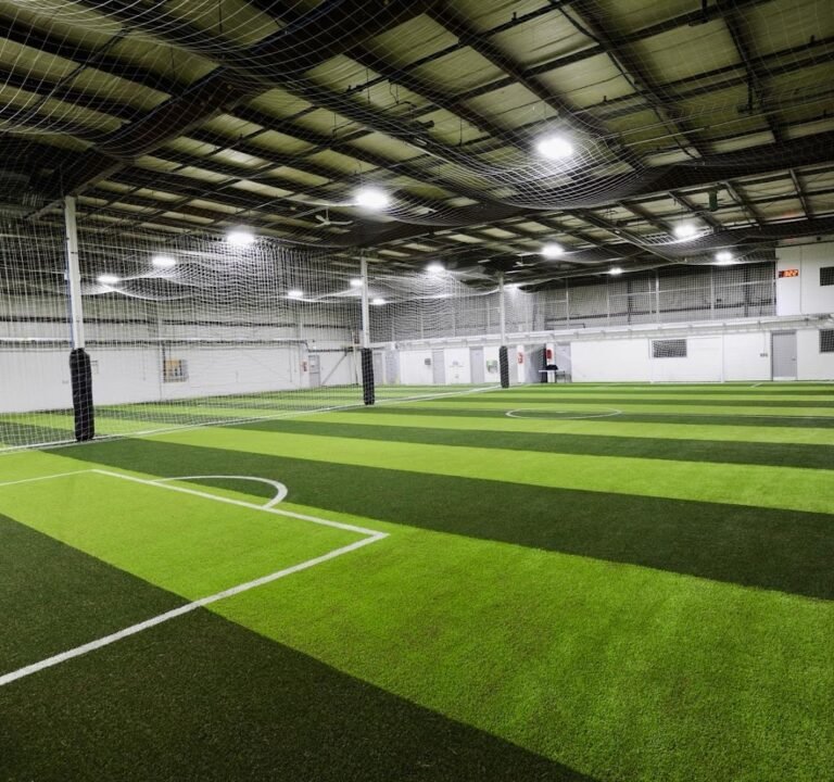 Soccer Field image 2