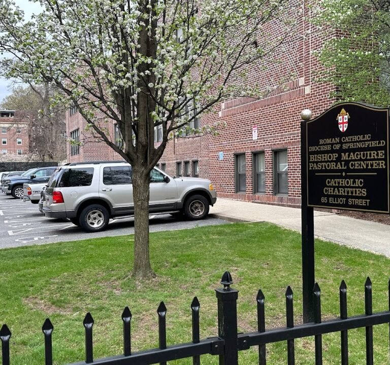 Soccer Field image 2