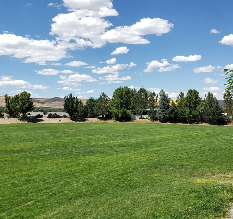 Soccer Field image 2