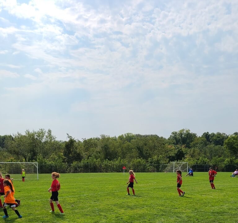 Soccer Field image 2