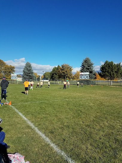 Soccer Field image 1