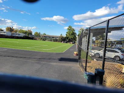 Soccer Field image 1
