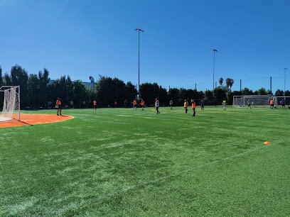 Soccer Field image 1