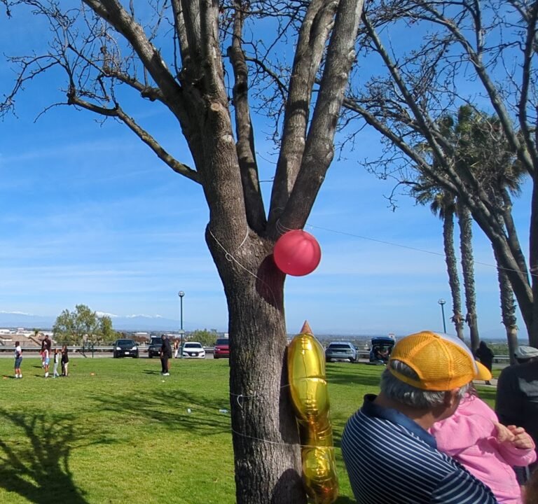 Soccer Field image 3