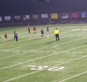 Soccer Field image 3