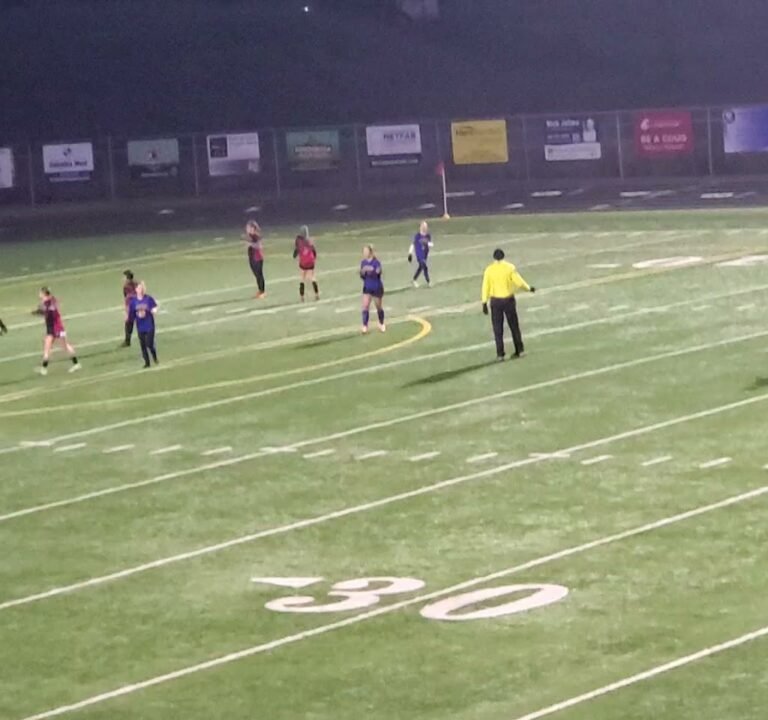 Soccer Field image 3