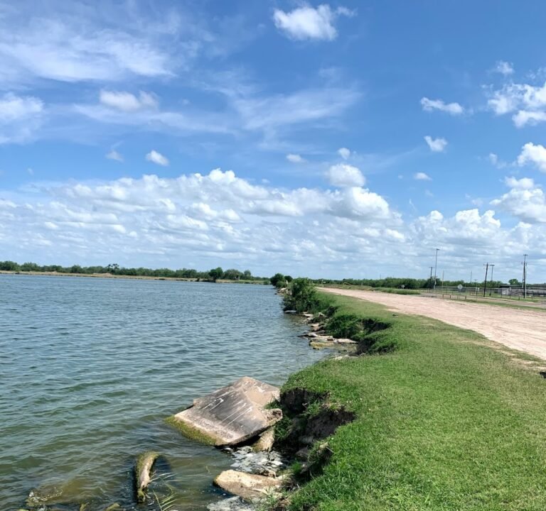 Soccer Field image 2