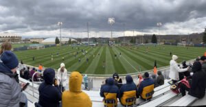 Soccer Field image 1