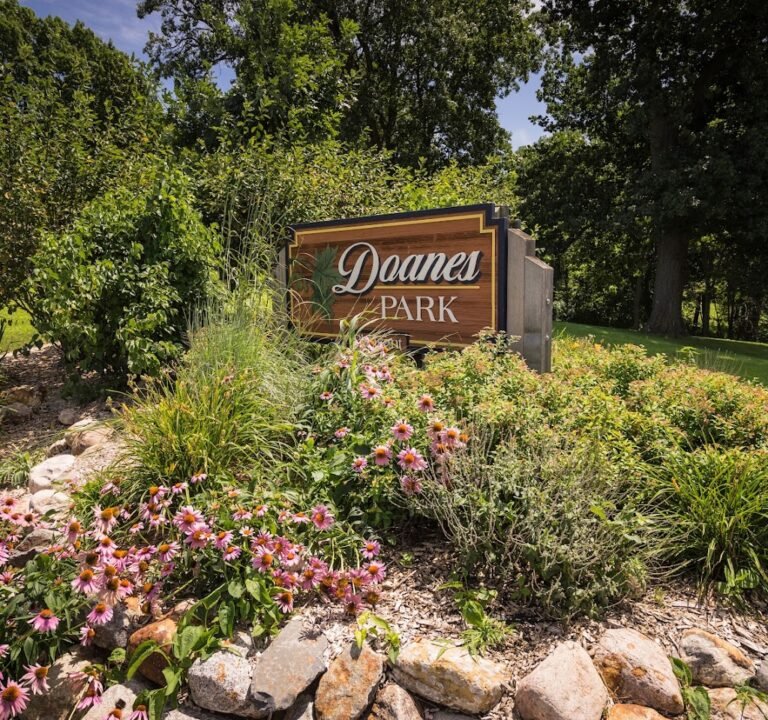 Soccer Field image 2