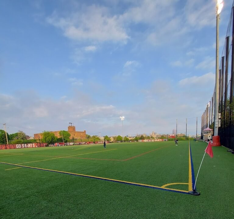 Soccer Field image 2