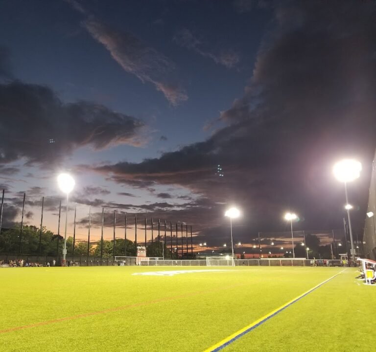 Soccer Field image 3