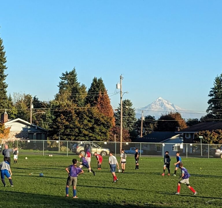 Soccer Field image 3