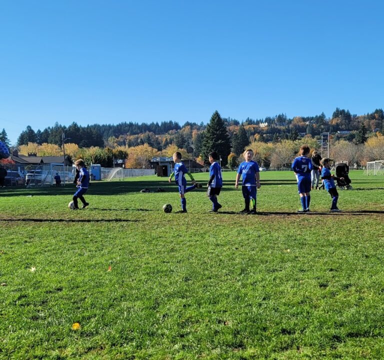 Soccer Field image 2