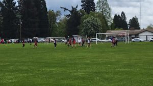 Soccer Field image 1