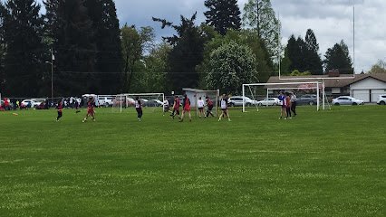 Soccer Field image 1