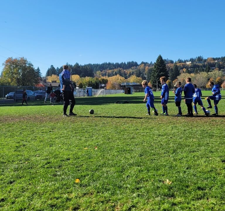 Soccer Field image 3