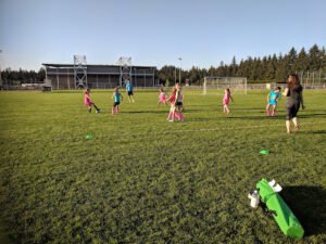 Soccer Field image 1