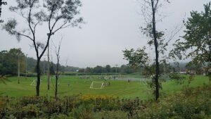 Soccer Field image 1