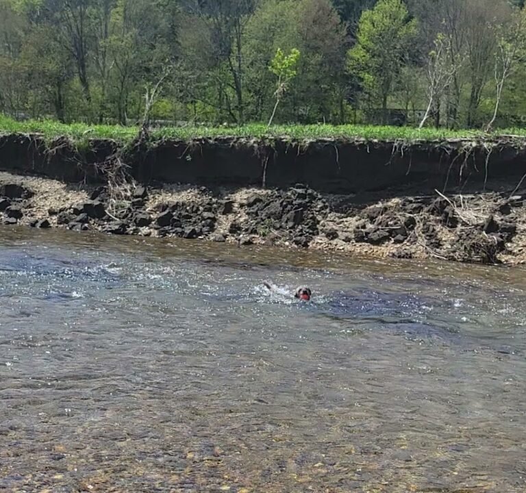 Soccer Field image 2