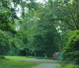 Soccer Field image 1