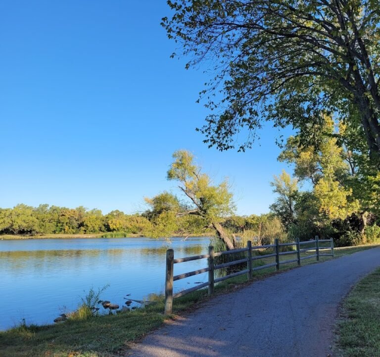Soccer Field image 2