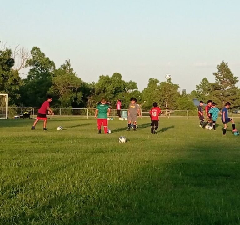 Soccer Field image 4