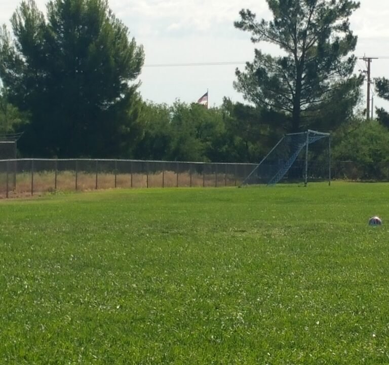 Soccer Field image 3