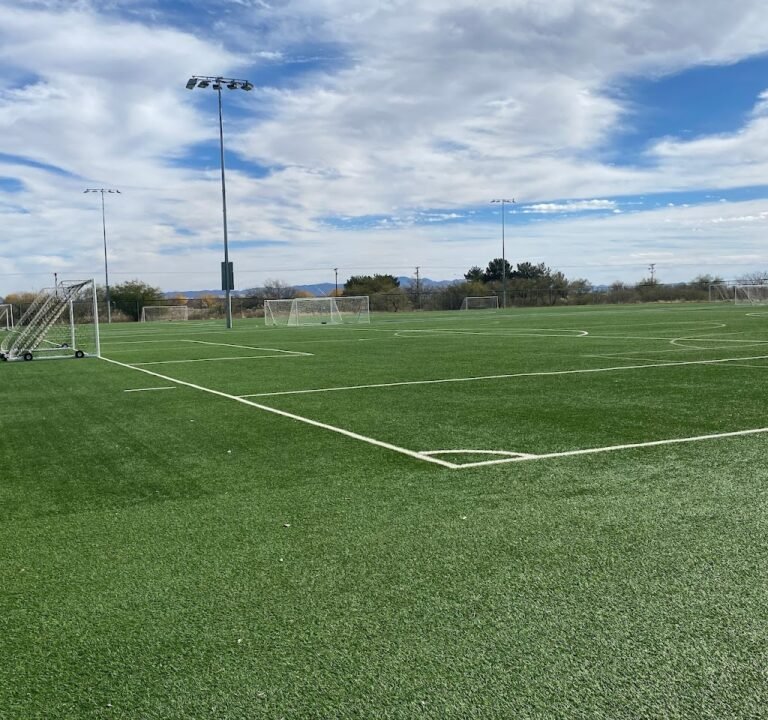 Soccer Field image 2