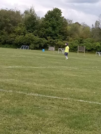 Soccer Field image 1