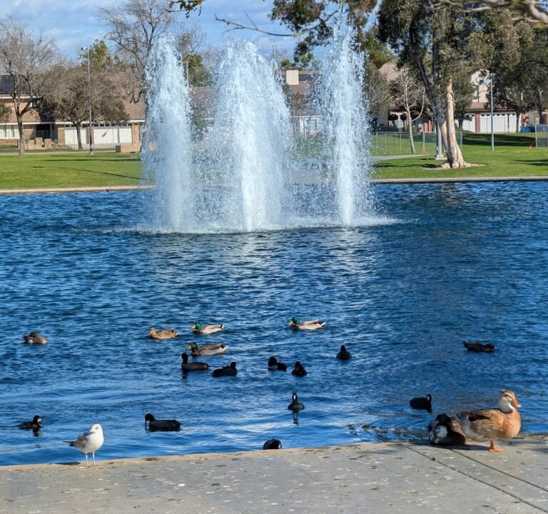 Soccer Field image 3