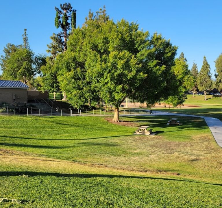 Soccer Field image 2