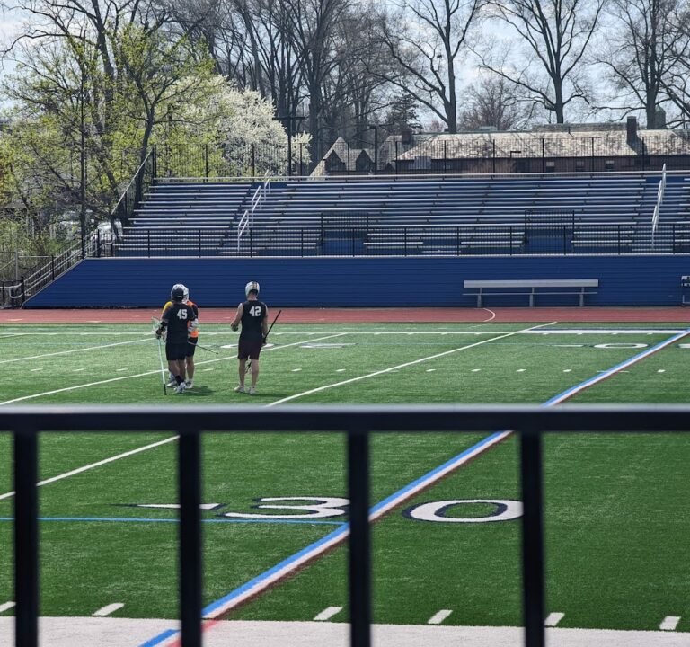 Soccer Field image 2