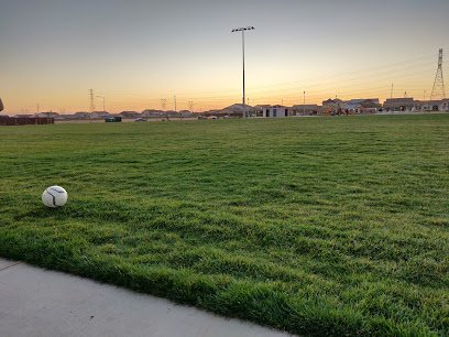 Soccer Field image 1