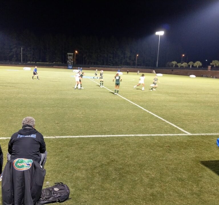 Soccer Field image 2