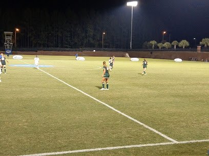 Soccer Field image 1