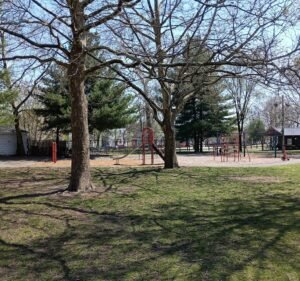 Soccer Field image 2