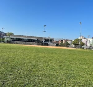 Soccer Field image 2