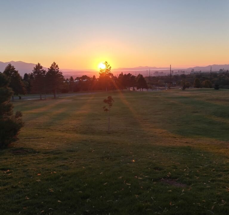 Soccer Field image 3