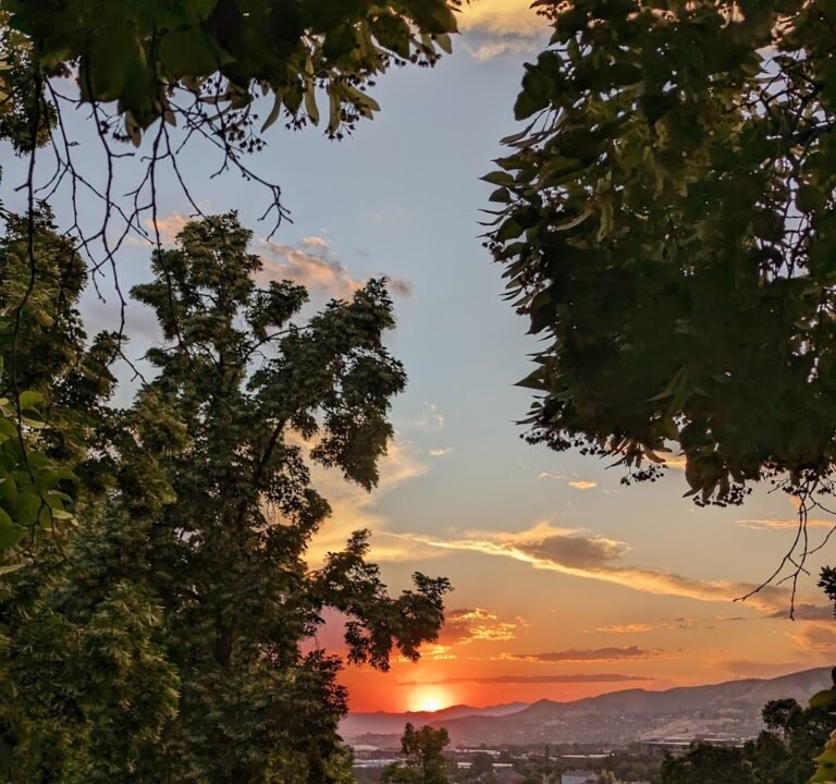 Soccer Field image 2